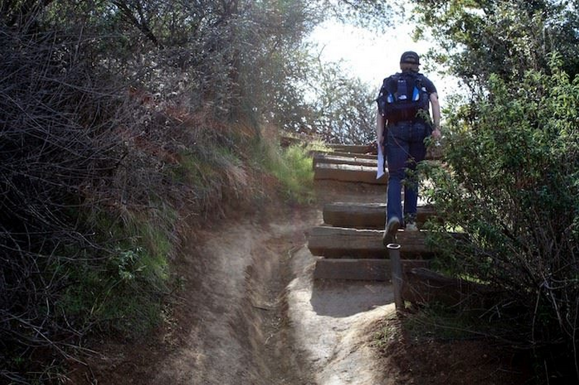 5 Best LA Hikes for Beginners